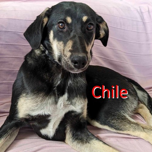 Chile